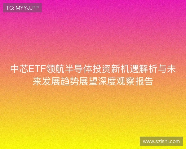 中芯ETF领航半导体投资新机遇解析与未来发展趋势展望深度观察报告 中芯ETF领航半导体投资新机遇解析与未来发展趋势展望深度观察报告